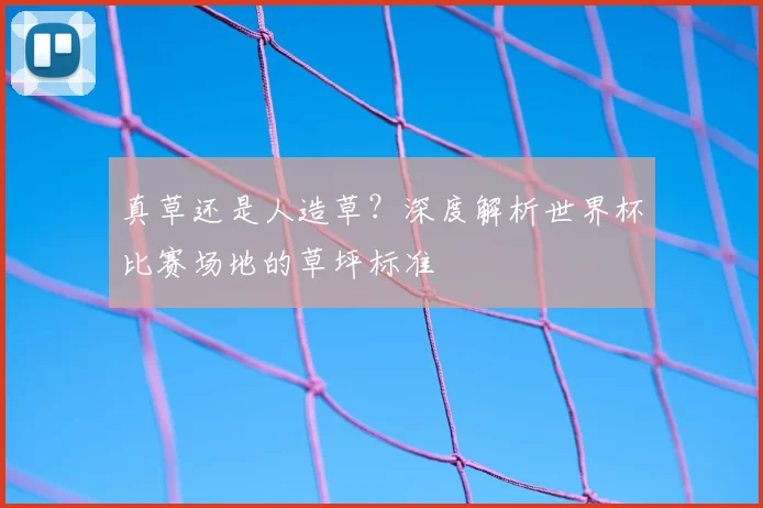 真草还是人造草？深度解析世界杯比赛场地的草坪标准