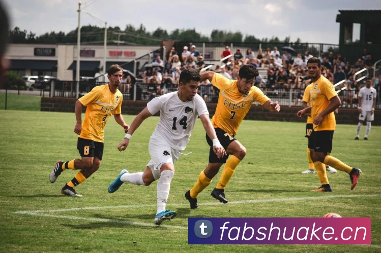 kaiyun体育app注册登录发展历程